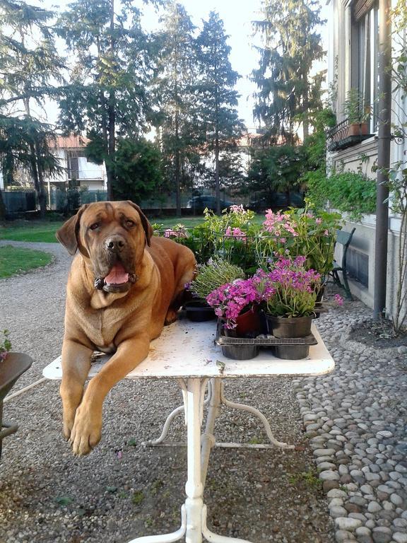 Invilla B&B Varese Zewnętrze zdjęcie